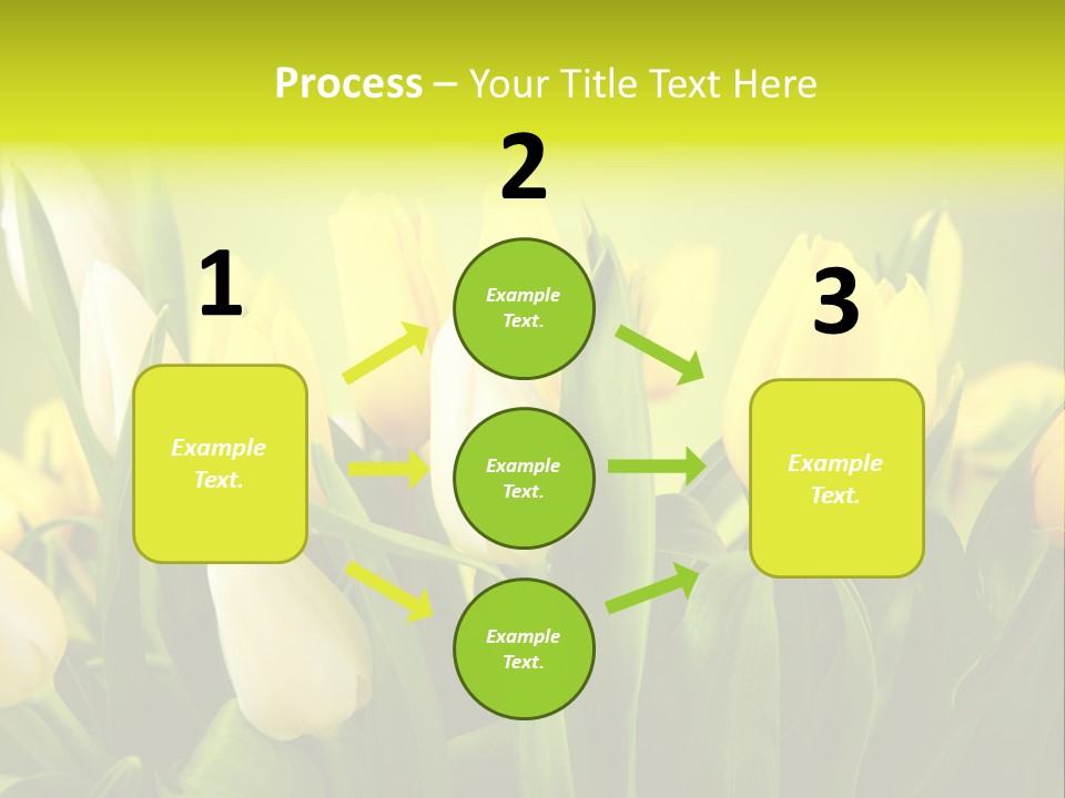 Celebration Isolated Natural PowerPoint Template