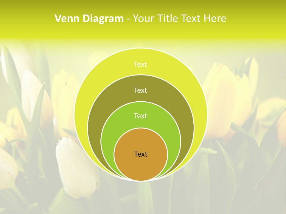 Celebration Isolated Natural PowerPoint Template