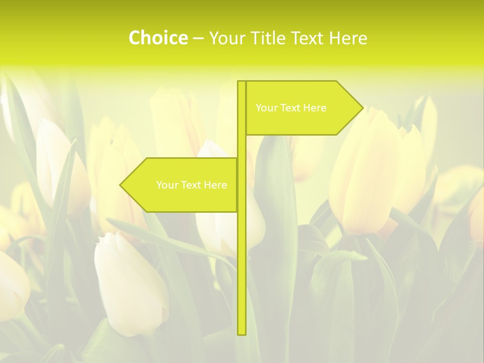 Celebration Isolated Natural PowerPoint Template