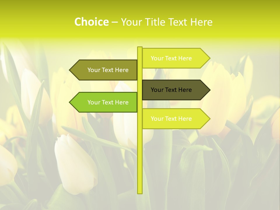 Celebration Isolated Natural PowerPoint Template