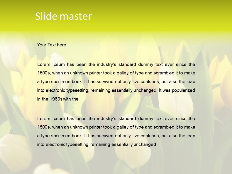 Cream Morning Color PowerPoint Template