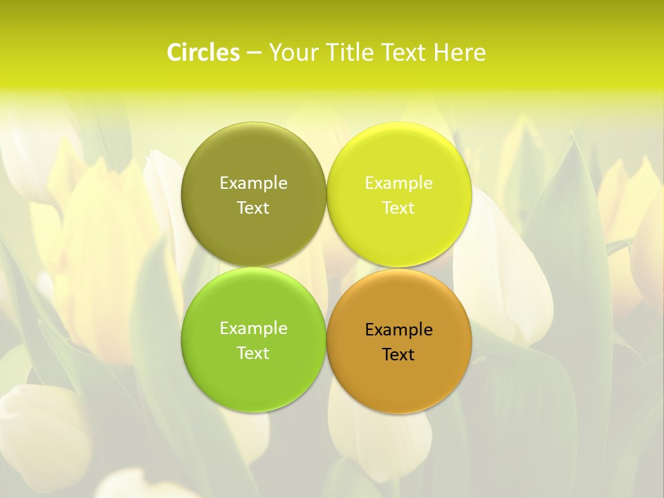 Cream Morning Color PowerPoint Template