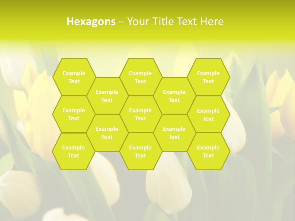 Cream Morning Color PowerPoint Template