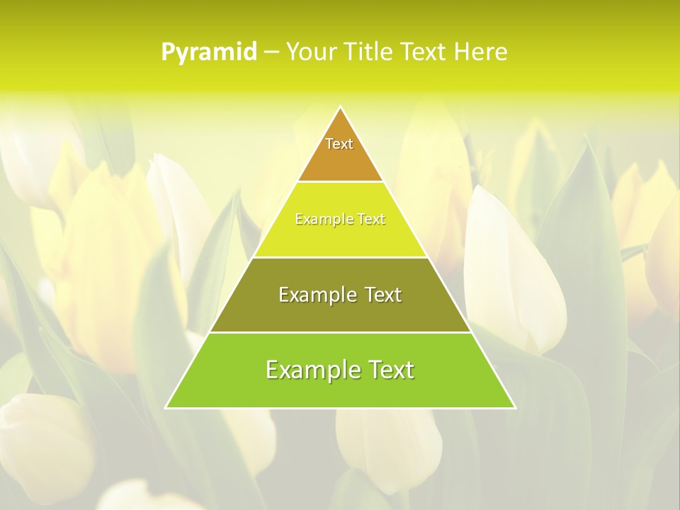 Cream Morning Color PowerPoint Template