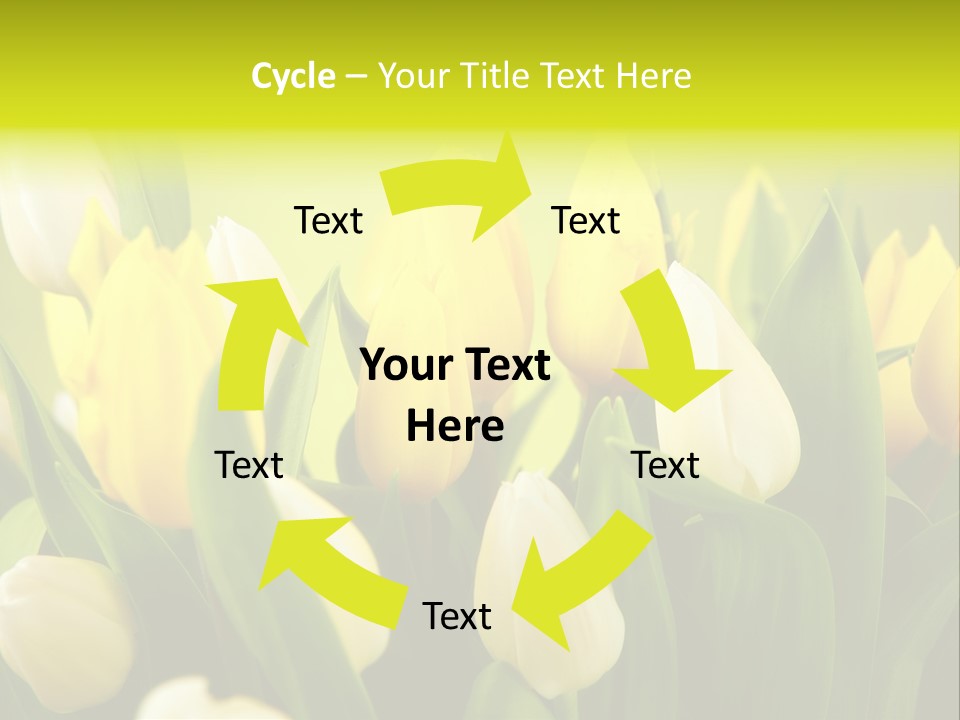 Cream Morning Color PowerPoint Template