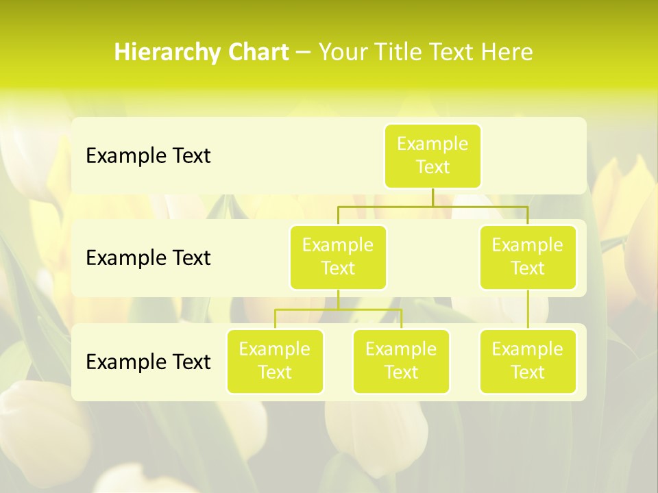 Cream Morning Color PowerPoint Template