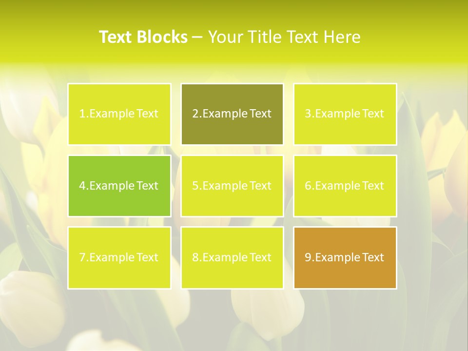 Cream Morning Color PowerPoint Template