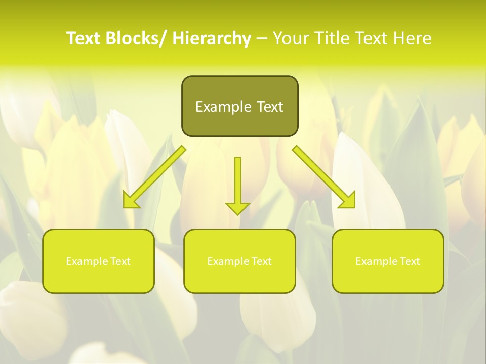 Cream Morning Color PowerPoint Template