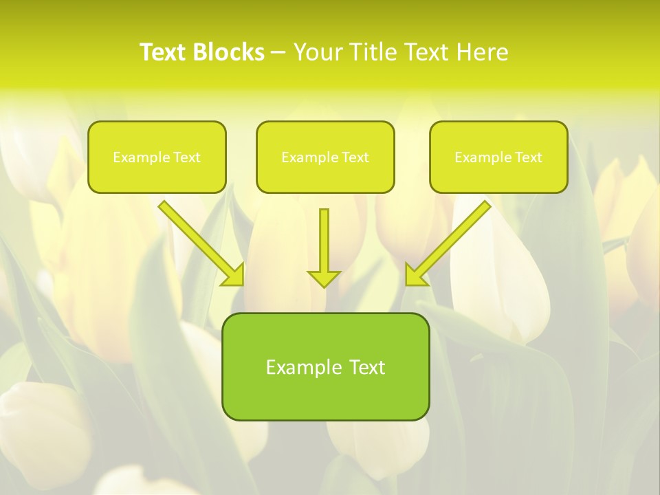 Cream Morning Color PowerPoint Template