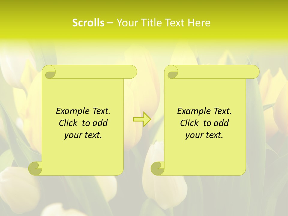 Cream Morning Color PowerPoint Template