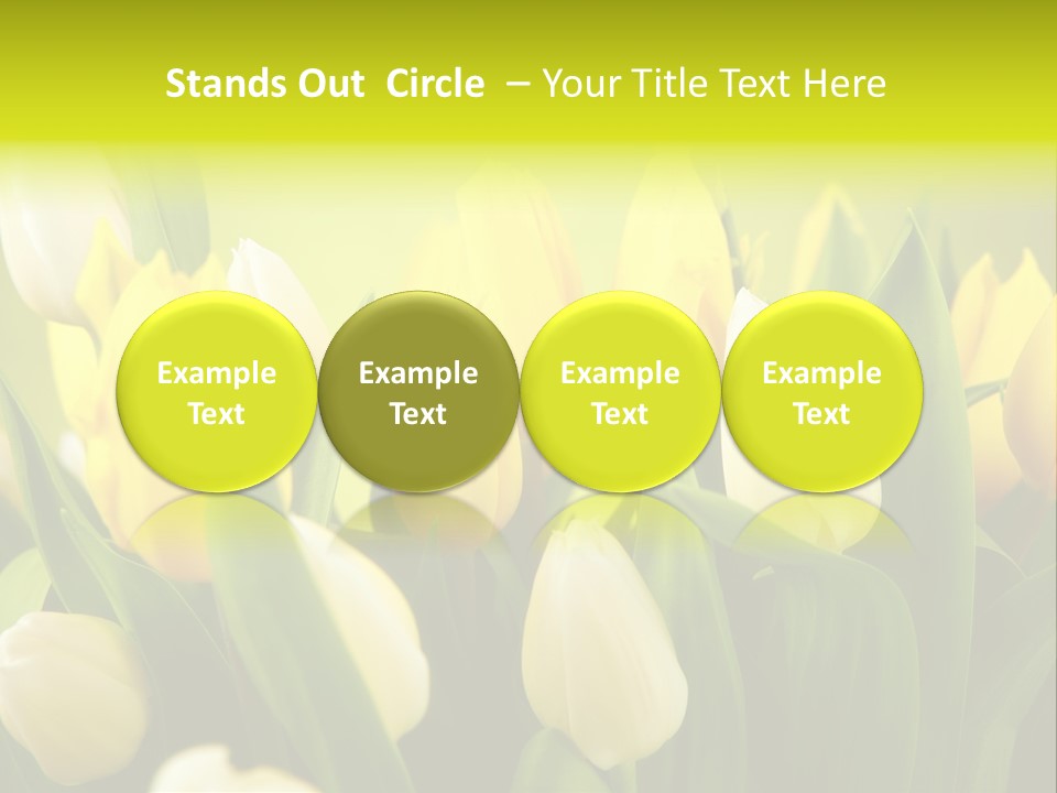 Cream Morning Color PowerPoint Template