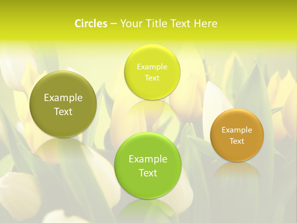 Cream Morning Color PowerPoint Template