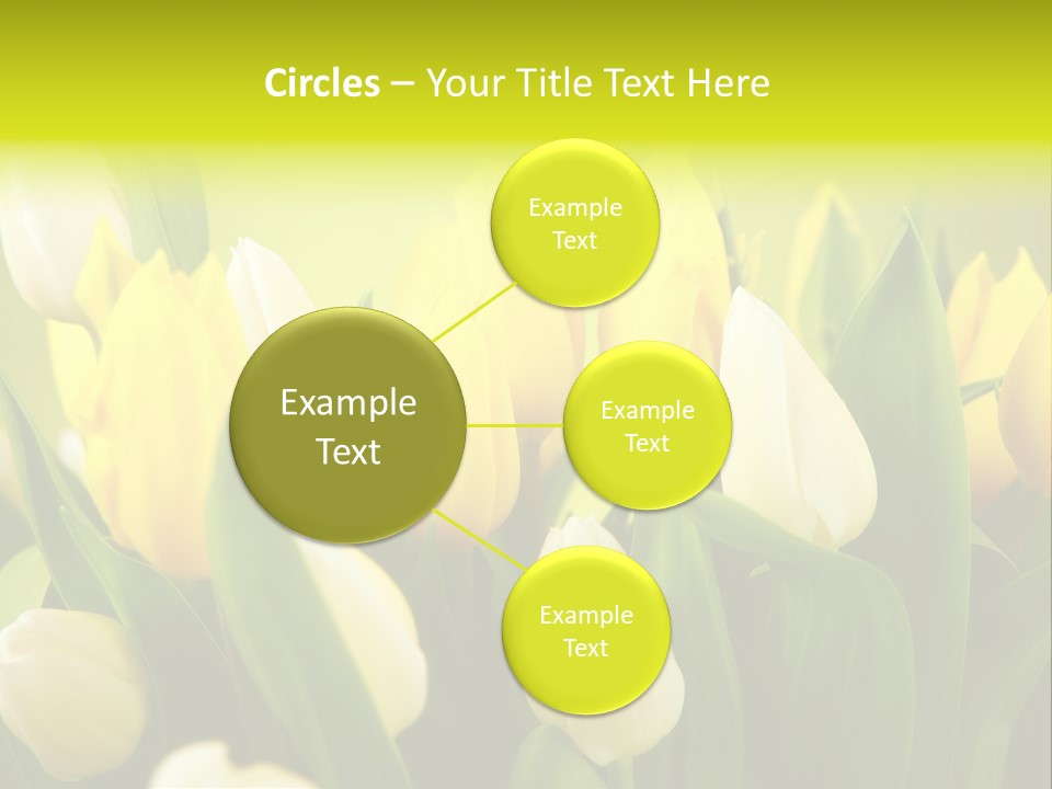 Cream Morning Color PowerPoint Template