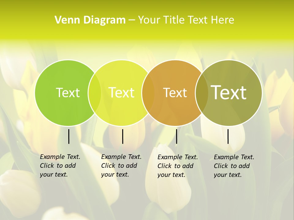 Cream Morning Color PowerPoint Template