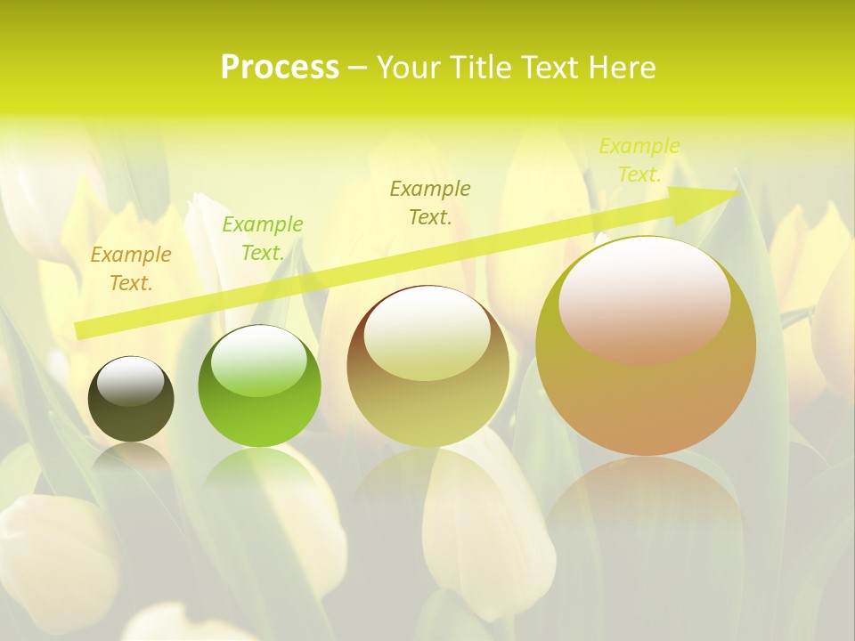 Cream Morning Color PowerPoint Template