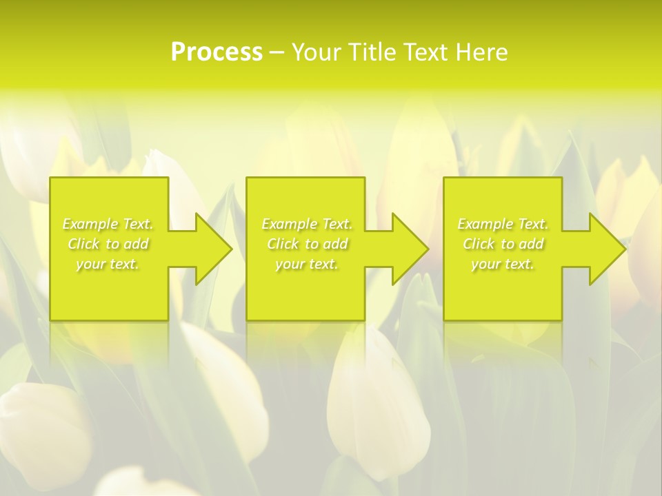 Cream Morning Color PowerPoint Template