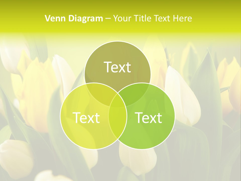 Cream Morning Color PowerPoint Template