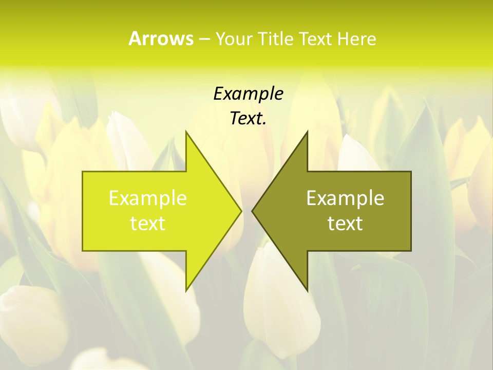 Cream Morning Color PowerPoint Template