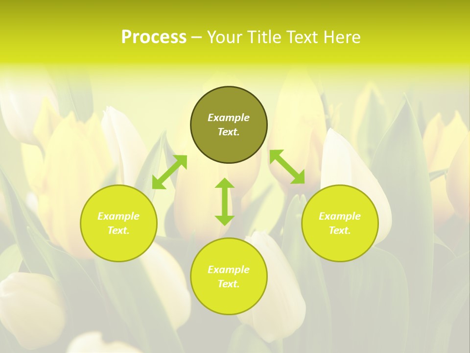 Cream Morning Color PowerPoint Template