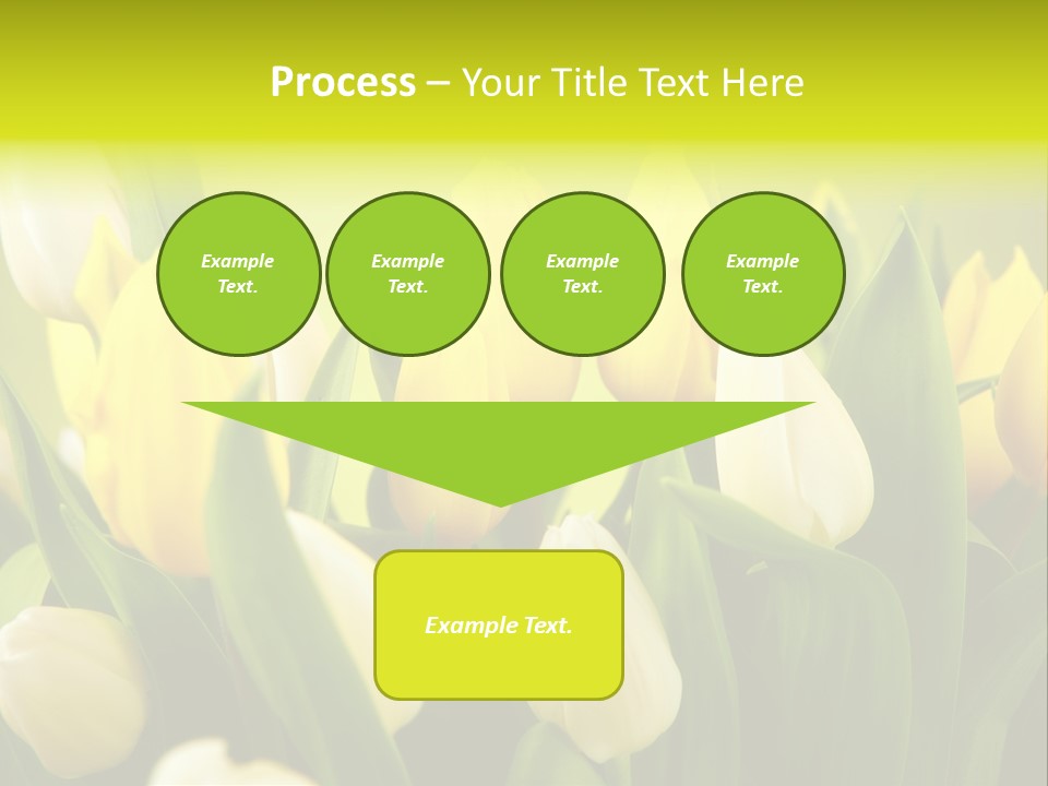 Cream Morning Color PowerPoint Template