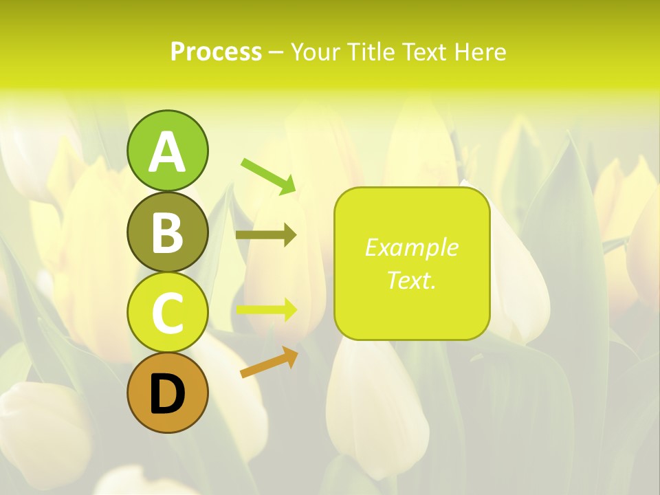 Cream Morning Color PowerPoint Template