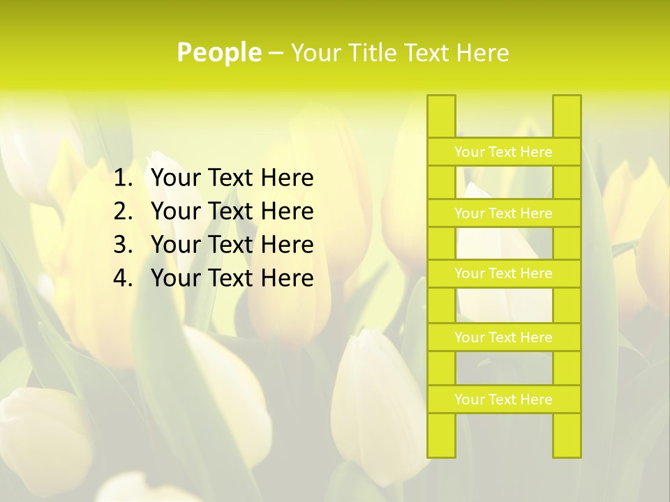 Cream Morning Color PowerPoint Template