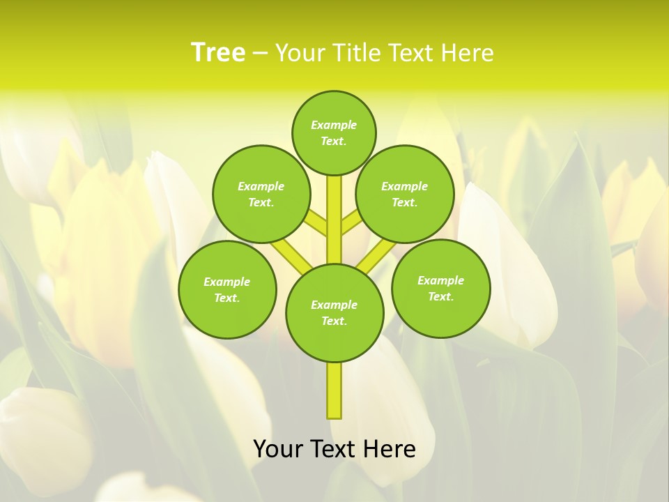 Cream Morning Color PowerPoint Template