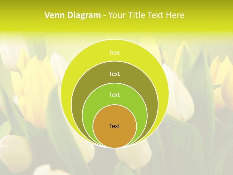 Cream Morning Color PowerPoint Template