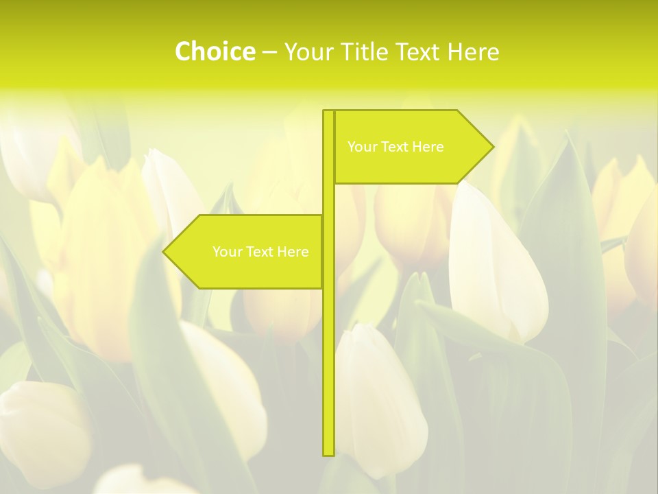 Cream Morning Color PowerPoint Template