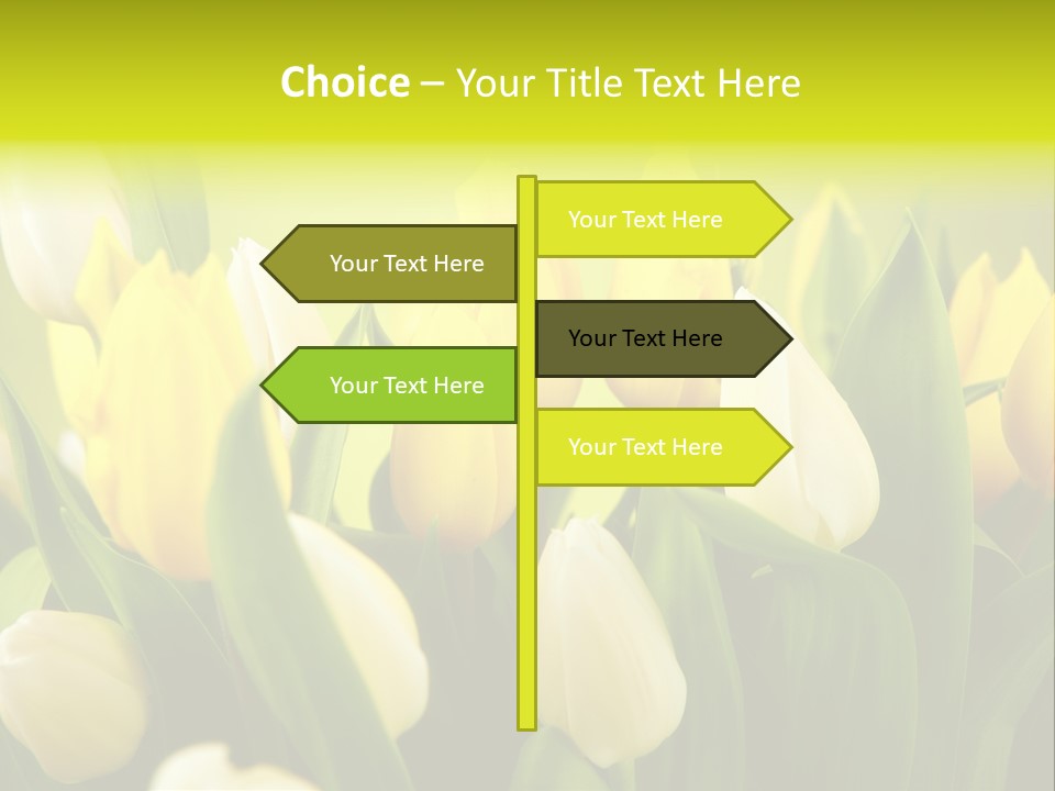 Cream Morning Color PowerPoint Template