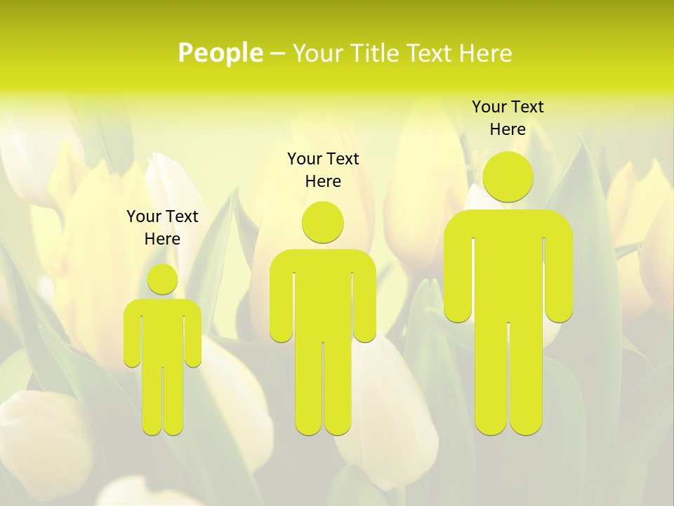 Cream Morning Color PowerPoint Template