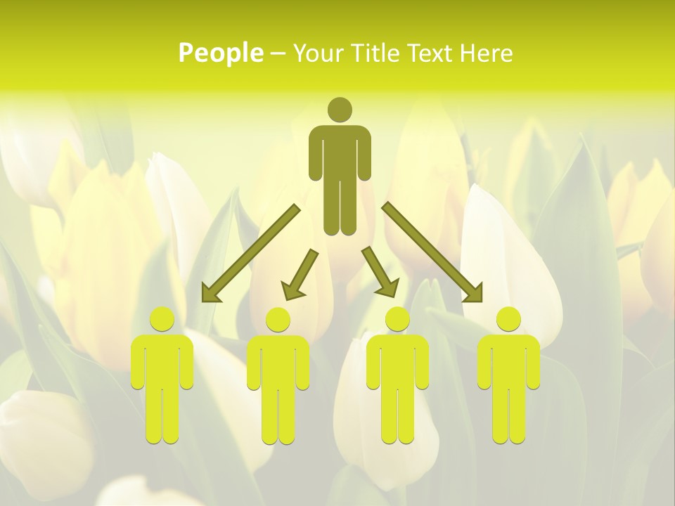 Cream Morning Color PowerPoint Template