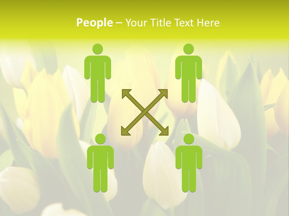 Cream Morning Color PowerPoint Template