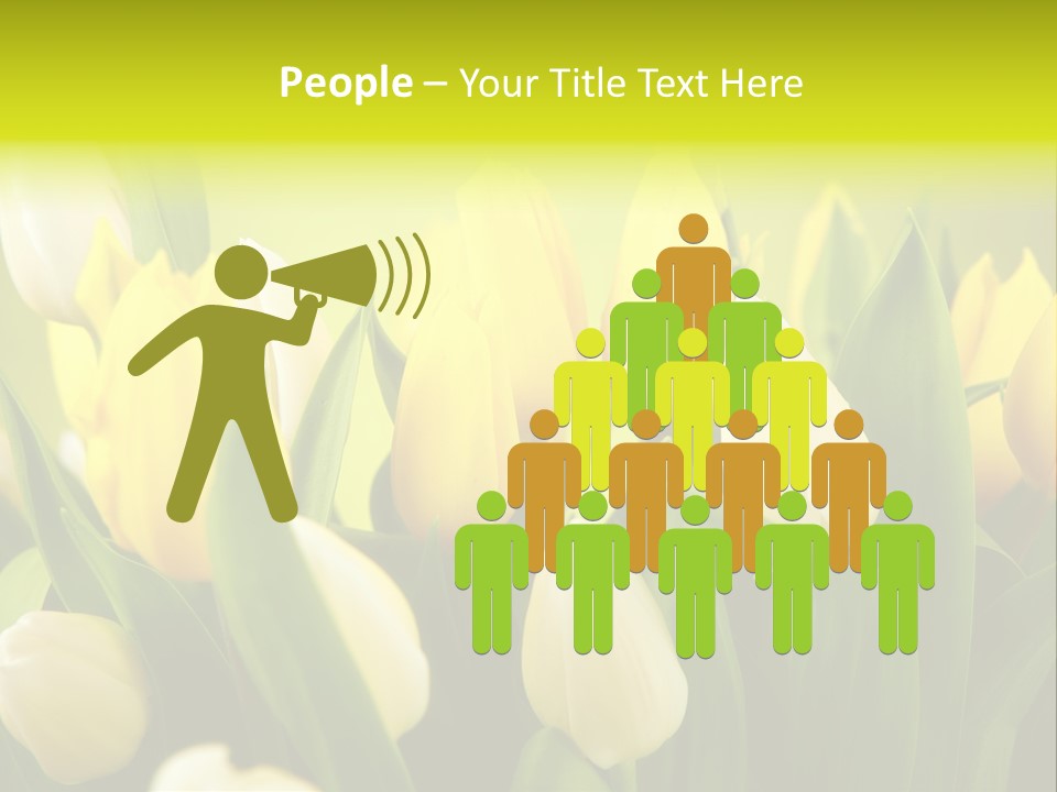 Cream Morning Color PowerPoint Template