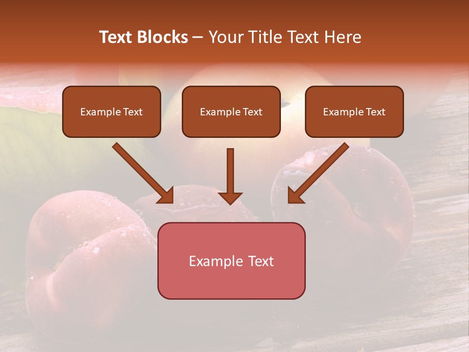 Pessego Persica Nectarina PowerPoint Template