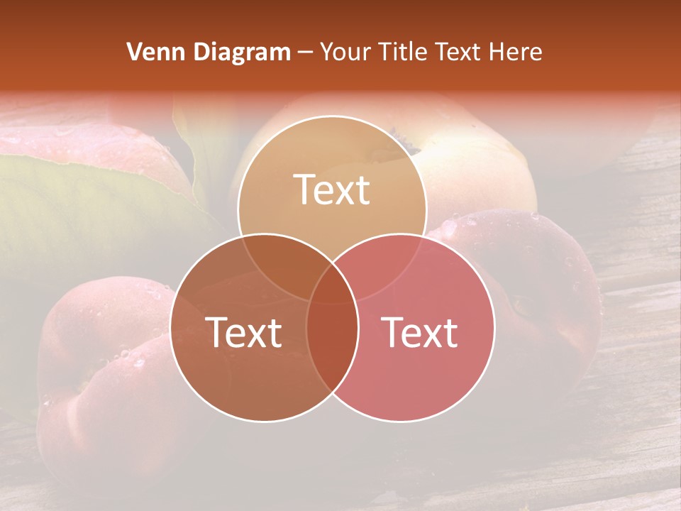 Pessego Persica Nectarina PowerPoint Template