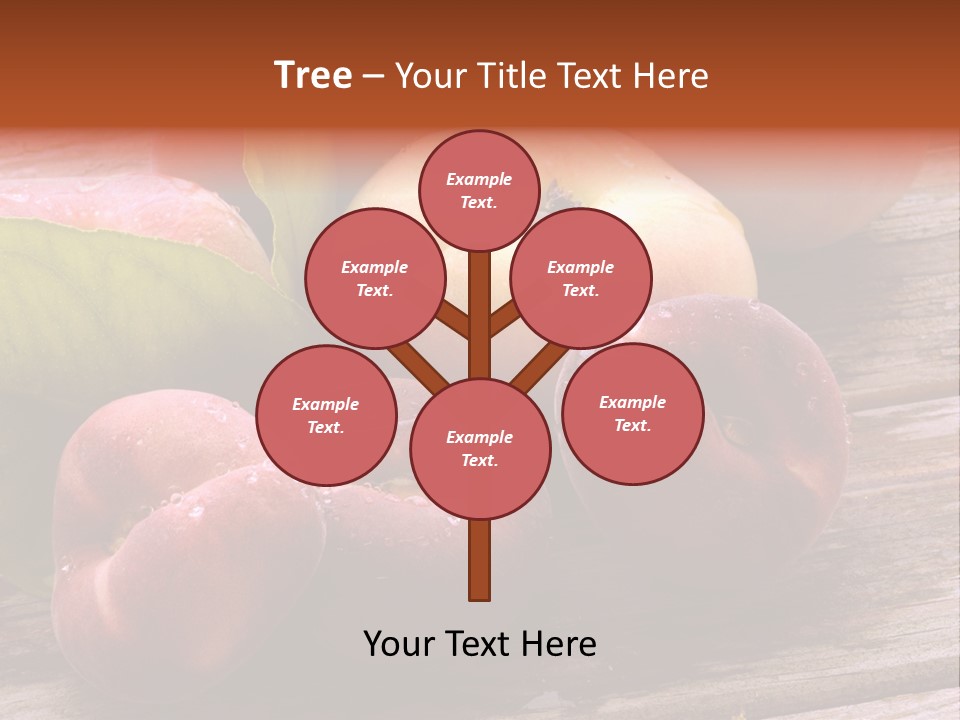 Pessego Persica Nectarina PowerPoint Template