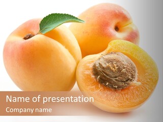 Orange Organic Macro PowerPoint Template