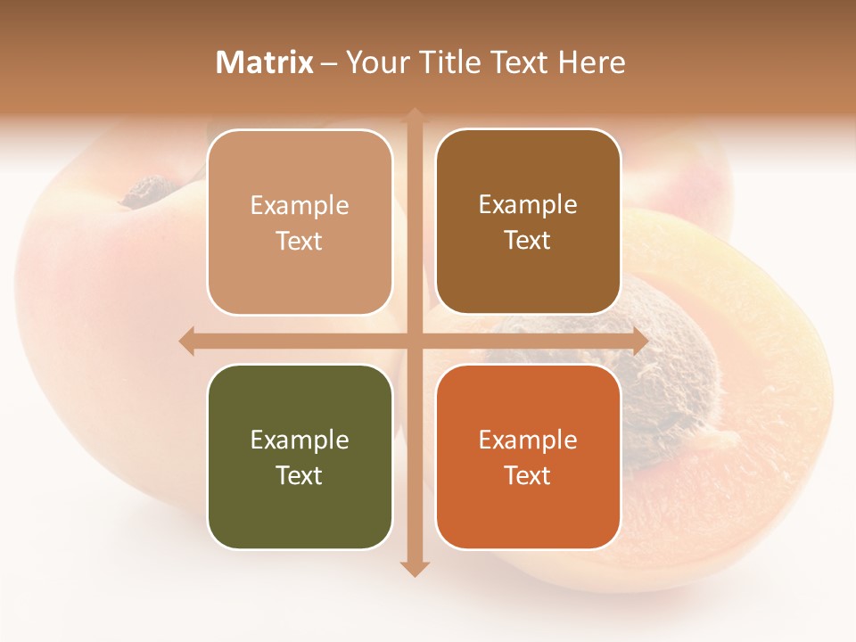 Orange Organic Macro PowerPoint Template