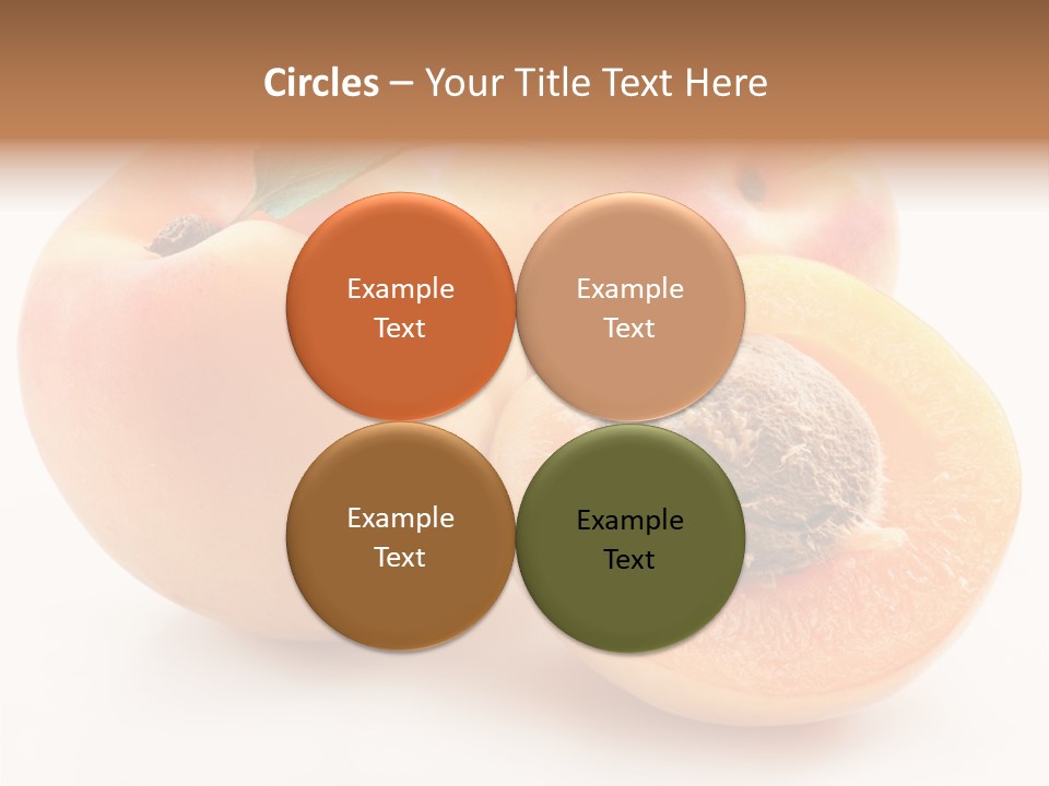 Orange Organic Macro PowerPoint Template