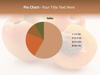 Orange Organic Macro PowerPoint Template