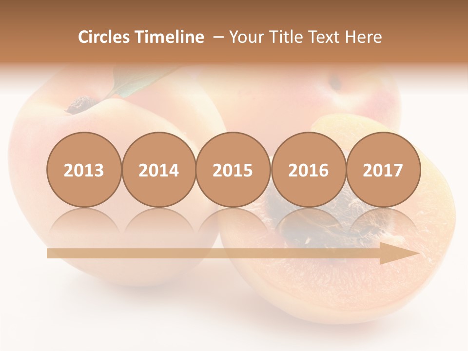 Orange Organic Macro PowerPoint Template