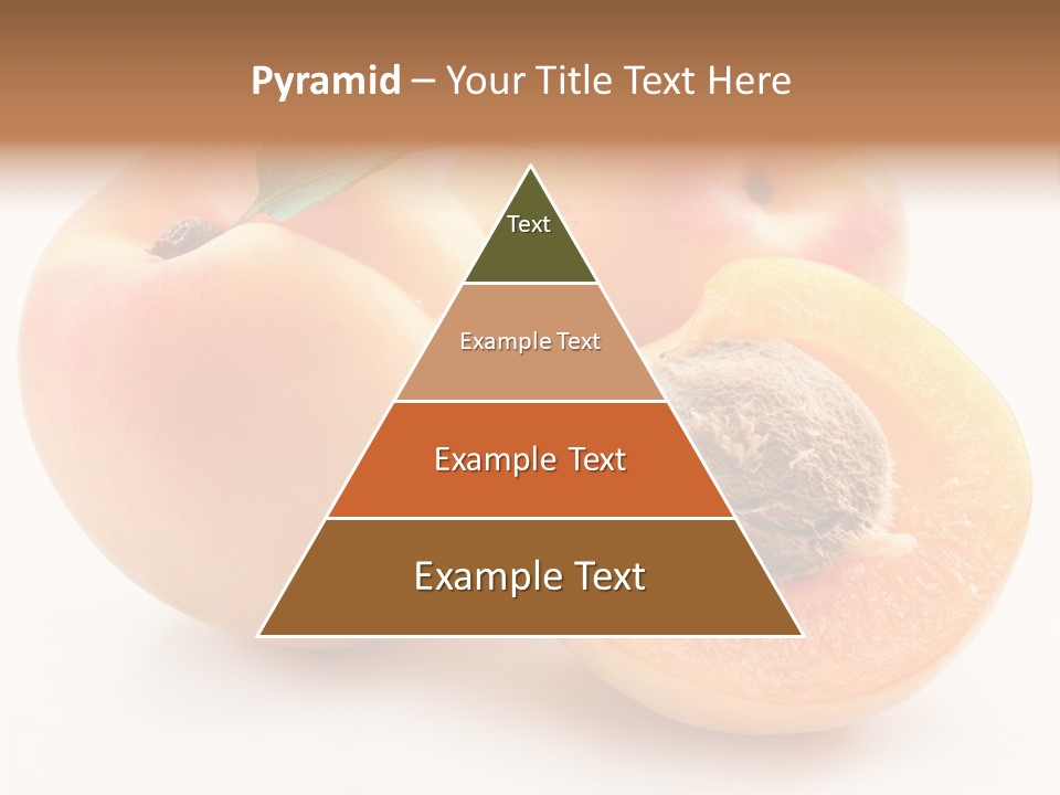 Orange Organic Macro PowerPoint Template