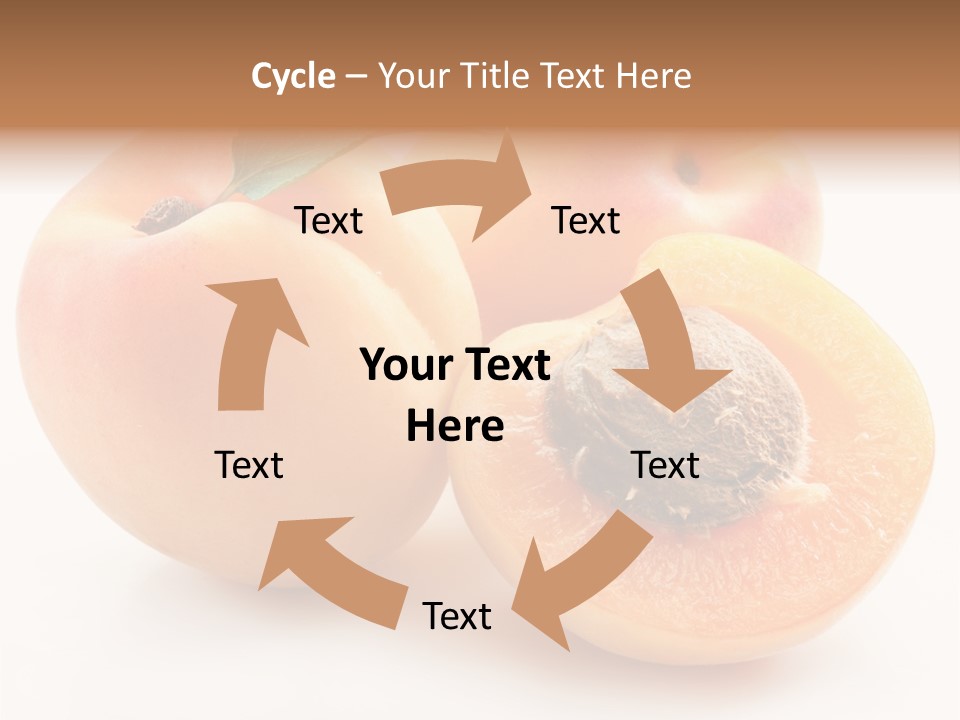 Orange Organic Macro PowerPoint Template