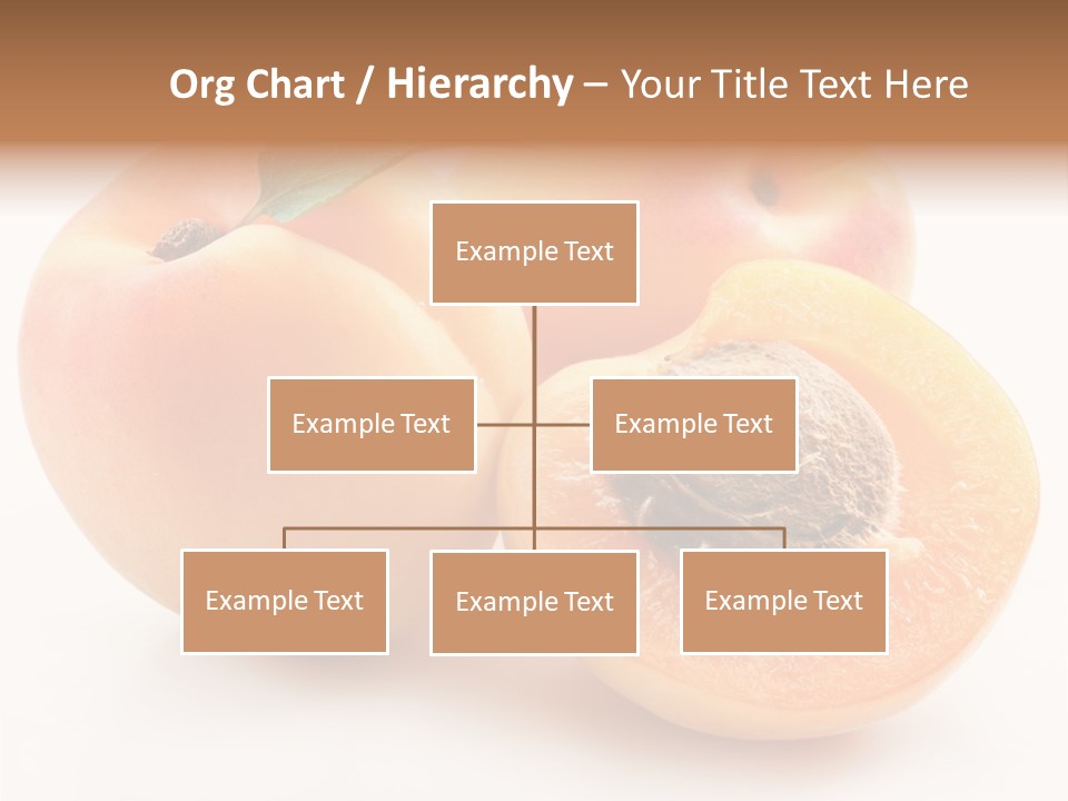 Orange Organic Macro PowerPoint Template