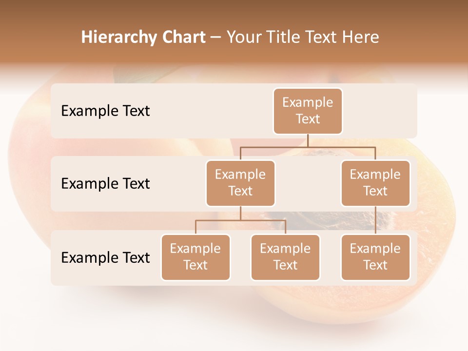 Orange Organic Macro PowerPoint Template