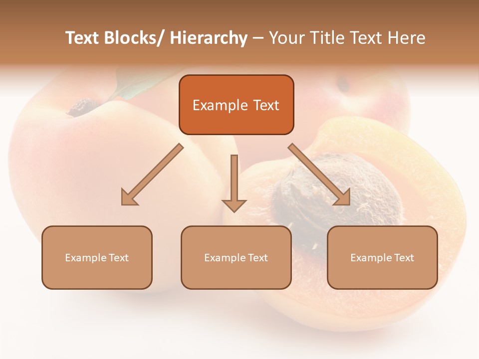 Orange Organic Macro PowerPoint Template
