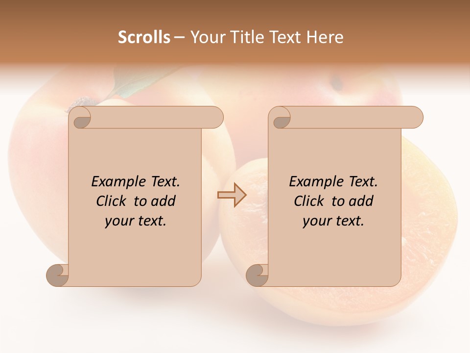 Orange Organic Macro PowerPoint Template