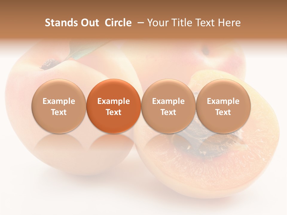 Orange Organic Macro PowerPoint Template