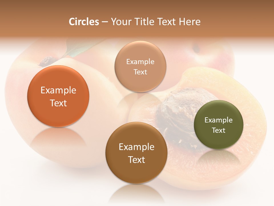 Orange Organic Macro PowerPoint Template